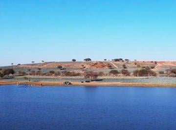 Terreno / Lote · 60000m² · Venta de Terreno Sembrado de Agave, Romita Guanajuato