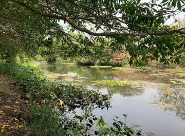 Rancho , Soledad de Doblado · Rancho Agropecuario de 50 Ha en Venta en Mata Anona, Veracruz