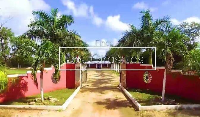 Furnished Farmhouse for Sale in Muna, Yucatán