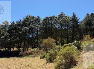 Terreno / Lote · 3500m² · Terreno en El Bosque | Ideal Para Inversión, Descanso o Proyecto Ecoturístico