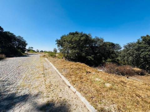 Terreno en venta ubicado en la exclusiva zona de Campestre Haras, i…