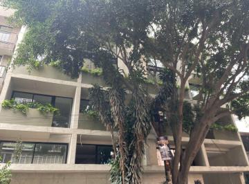Departamento de 1 habitación, Cuauhtémoc · Departamento de 67 m² en Venta en Juárez