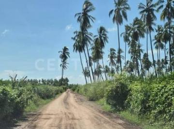 Terreno / Lote · 100000m² · Parcela de 10 Hectáreas en Renta en Tecomán