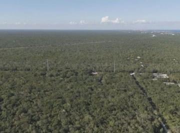 Terreno / Lote , Tulum · Terreno en Ciudad de Chemuyil, Tulum, Quintana Roo