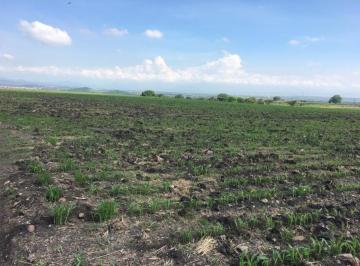 Terreno / Lote · 121541m² · Terreno en Morelos Cuautla - Crb - 528 - Tu