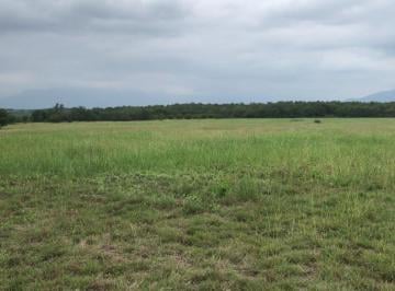Terreno / Lote · 89155m² · Terrerno en Montemorelos Nuevo Leon