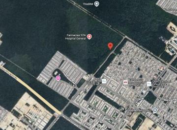 Terreno / Lote , Solidaridad · Terreno Para Vivienda Desarrolladores Playa del Carmen 3.6 Ha