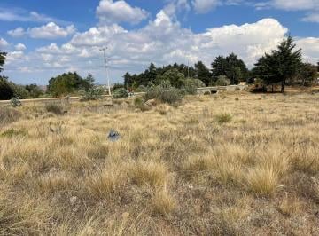 Excelente oportunidad de inversión en una de las zonas con mayor encanto natural · ¡Gran Oportunidad! Terreno de 200 m² en Cerro de Los Gallos