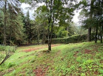Terreno / Lote , Valle de Bravo · Bonito Terreno en Valle de Bravo, Muy Cerca de Laguna Negra
