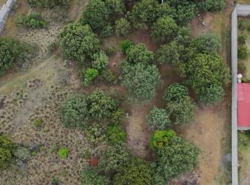 Terreno / Lote · 1081m² · Terreno en Venta en Omitlán, Hidalgo