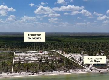 Terreno / Lote , Telchac Puerto · Terreno en Venta en Telchac Puerto Yucatan