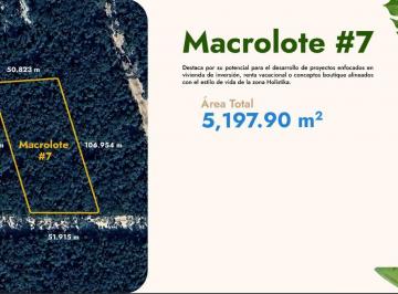 Terreno / Lote , Tulum · Terreno en Venta en Tulum
