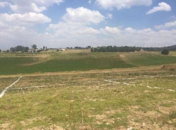 Terreno / Lote · 212m² · Lote / Terreno en Venta en San Cristóbal Tecolit