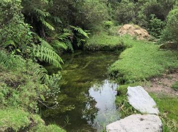 Terreno / Lote , Acaxochitlán · Hermosos Terrenos en El Bosque