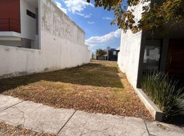 Terreno / Lote , León · Terreno en Venta en Mayorazgo La Gavia