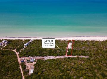 Terreno / Lote , Hunucmá · Terreno en Venta Frente a La Playa Primera Fila en Sisal, Yucatan