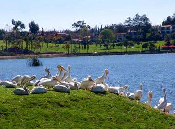 Terreno / Lote · 415m² · Terreno en Venta Plano y en Esquina Fraccionamiento Cumbres del Lago Juriquilla Queretaro