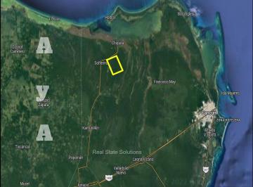 Terreno / Lote · 1m² · 10 Estacionamientos · Terreno en Venta de 15 Ha a 2 Km de Solferino, Lázaro Cárdenas, Quintana. Roo.