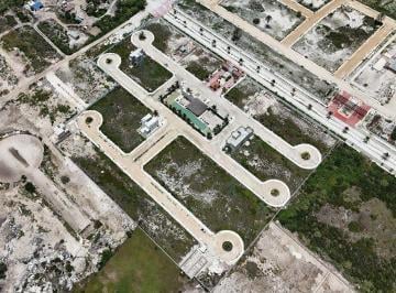 Terreno / Lote · 200m² · Terreno en Pueblo Chelem