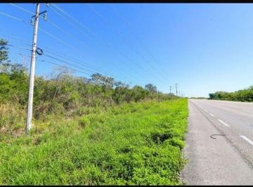 Terreno / Lote , Muxupip · Gran Terreno de 10 Hectáreas Al Norte de Mérida