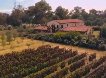 Terreno / Lote , San Miguel de Allende · Terreno en Venta – Viñedos San Francisco – San Miguel de Allende