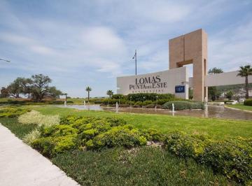 Terreno / Lote , León · Terreno Venta Lomas Punta del Este Coto Roble