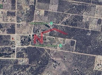 Foto principal · Terreno Campestre en Venta en Cañada Verde Burocrata Tecate B Cfa