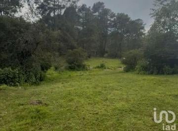 Terreno / Lote · 63020m² · Venta Terreno de 6 Hectáreas 3,020 m² (63,020 M&sup2;)