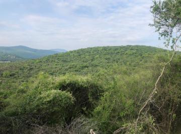 Terreno comercial Venta MN 364,000,000 · Terreno, Rancho, Invernade, Fabrica Etc Etc