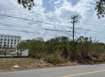 Terreno / Lote , Campeche · Terreno de 5.4 Hectáreas en Venta - Ubicación Estratégica Junto a La Facultad de Ingeniería Uac
