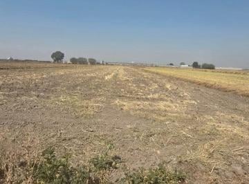 Terreno / Lote , Zumpango · Venta de Terreno en Tonanitla