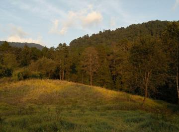 Terreno / Lote , Valle de Bravo · Hermoso Terreno en El Bosque con Casa Club y Seguridad Privada - El Encino L1