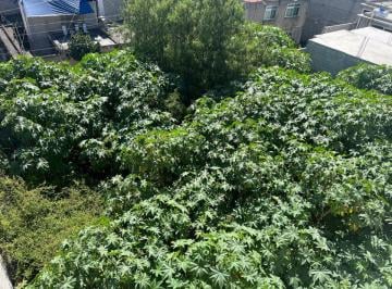 Terreno / Lote , Tláhuac · Venta Terreno 268 m² Tulyehualco