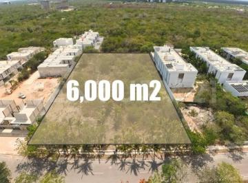 Terreno / Lote · 6000m² · Terreno en Venta en La Zona Country, Mérida, Yucatán