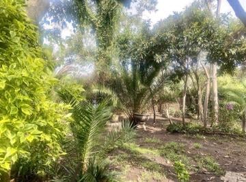 1ef1c6b62f889e96f8978573f2638db58ce9faab024652e571a9b2317c7393a4 · Casa Venta Lomas Hipodromo