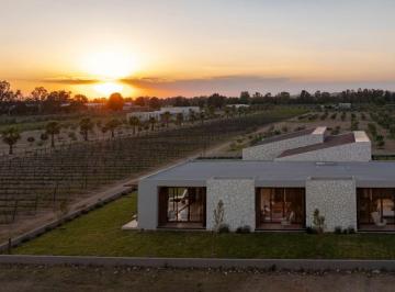 Casa de 3 habitaciones, San Miguel de Allende · House For Sale Among Vineyards/casa en Venta Viñedos San Francisco, San Miguel de Allende, Gto