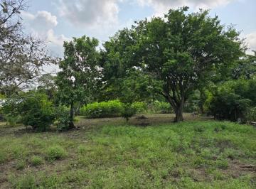 Terreno / Lote , Altamira · Terreno Escriturado 20x40 m | Listo Para Construir
