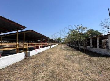 N/A · Oportunidad Única: Rancho con Potencial de Crecimiento en Morelos