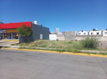 dc33812ee3fc59ca723541833d6a88ec367d568f7ffefa1726abb6d299202145 · Terreno Renta Guillermo Prieto Sahuaros Chihuahua