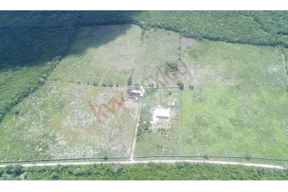 Land for Sale Near Valladolid — 25.9 Hectares with an Exceptional Private Cenote