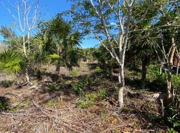Terreno / Lote , Lázaro Cárdenas · Terreno con Proyecto en Holbox Punta Cocos