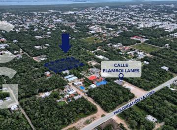 Terreno / Lote · 4961ha · Terreno en Venta en Cancún en Álamos Ll con Excelente Ubicación.