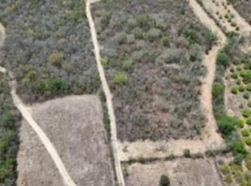 Terreno / Lote · 26393m² · Lote / Terreno en Venta en Ciudad Allende