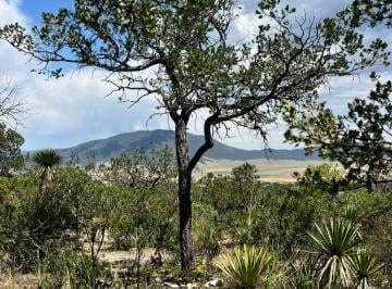 Terreno / Lote , Arteaga · Terreno Campestre de 1,410 m² en Sector Boreal del Fracc. Bosques de Guadalupe en Artega, Coahuila