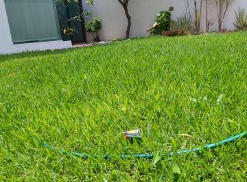 Casa de 3 habitaciones, Cuernavaca · Casa en Venta en Cuernavaca, 3 Recámaras en Chapultepec