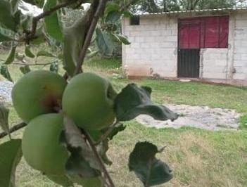 Terreno / Lote · 625m² · Terreno en Venta - (4)