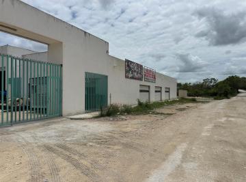 Bodega comercial , Benito Juárez · Bodega Trifasica