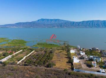 3b465ad6e78f60cc01b71e0240b3923f5c228e9d5b796973bba33025672fd387 · Terreno Macrolote en Jocotepec, Jalisco |frente Al Lago de Chapala