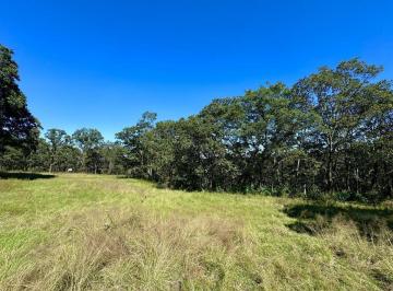 Terreno / Lote · 15069m² · Vendo Terreno en Los Temazcales