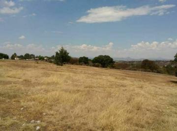 Terreno / Lote · 32938m² · Terreno en Oratorios, Villa del Carbón